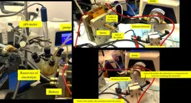 The ins and outs of quinone carbon capture