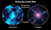 The intergalactic medium unveiled: Caltechs Cosmic Web Imager