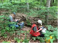 The legacy of past disturbance shapes coastal forest soil stability