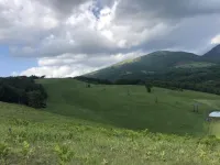 The long wait for bees to return to restored grasslands