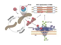 The molecular basis of ventilator-induced diaphragm weakness