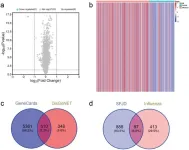 The molecular mechanism of Shufeng Jiedu capsules in the treatment of influenza: A comprehensive analysis based on network pharmacology, bioinformatics, and molecular docking