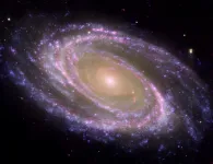 The origin of the first structures formed in galaxies like the Milky Way identified