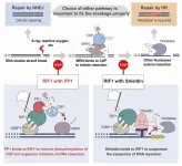 The path(way) less traveled in DNA double-strand break repair