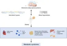 The pathophysiological relationship and treatment progress of obstructive sleep apnea syndrome, obesity, and metabolic syndrome