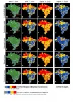 The paths through which COVID-19 spread across Brazil