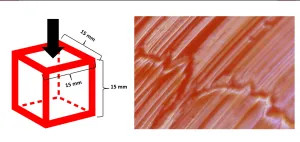 The physics of gummy candy