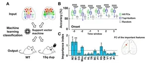 The powerhouse of the future: Artificial cells 3