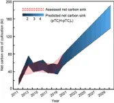 The predicted average annual net carbon sink of Gracilaria cultivation in China from 2021 to 2030 may double that of the last ten years 2