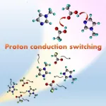 The proton conduction mechanism in protic ionic liquids