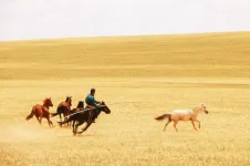 The rise of horse power ~4,200 years ago