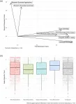 The role of race and scientific trust on support for COVID-19 social distancing