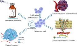 The role of ubiquitination in cancer stem cell regulation