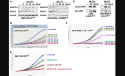 The roles of USP1 in Ewing sarcoma