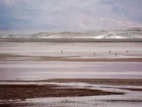 The science behind the life and times of the Earth’s salt flats