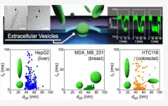 The shape of nanoparticles in body fluids may help identify the type of cancer