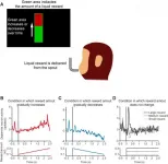 The shape of things to come: Shifting rewards are encoded using special neuronal patterns