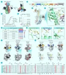 The structure of HSV-1 gB bound to a potent neutralizing antibody reveals a conservative antigenic domain across herpesviruses