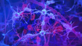 The surprising role of gut infection in Alzheimer’s disease