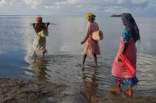 The voices of indigenous peoples and local communities as an important part of the climate fight