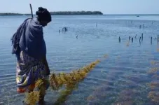 The voices of indigenous peoples and local communities as an important part of the climate fight 2