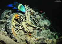 The WWII shipwreck of the SS Thistlegorm, now a popular Red Sea dive site, has formed an artificial coral reef for a diverse community of fish, according to data gathered by volunteer divers