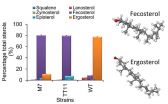 Thermotolerant yeast can provide more climate-smart ethanol 3