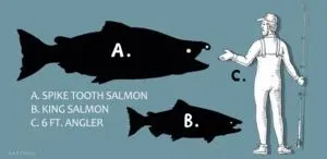 These giant, prehistoric salmon had tusk-like teeth 2