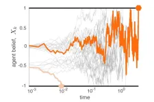 Think fast — or not: FSU research describes mathematics behind decision making