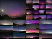 This year’s dazzling aurora produced a spectacular display… of citizen science