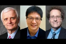 Three Rensselaer Polytechnic Institute faculty members honored by AAAS