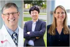 Three talented researchers recognized as endowed chairs