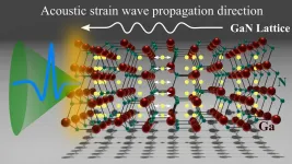 THz emission spectroscopy reveals optical response of GaInN/GaN multiple quantum wells