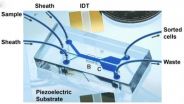 Tilted acoustic tweezers separate cells gently