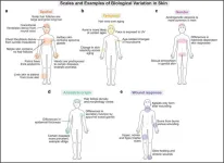 Time is right to develop a consensus Human Skin Cell Atlas, according to leading dermatology experts