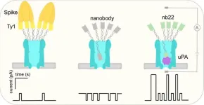 Tiny nanopores can contribute to faster identification of diseases