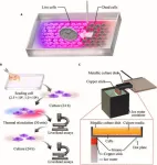 Titanium culture vessel presenting temperature gradation for the thermotolerance estimation of cells