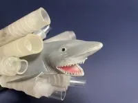 To make fluid flow in one direction down a pipe, it helps to be a shark 2