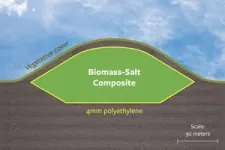 To more effectively sequester biomass and carbon, just add salt 2