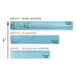 To spread or slide? Scientists uncover how foams are spread on surfaces