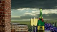 Toasting the chemistry of champagne: New Years Eve video from the American Chemical Society