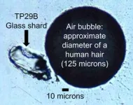 Toba supereruption unveils new insights into early human migration 2