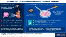 Todays stem cell special: Small intestine on a plate!