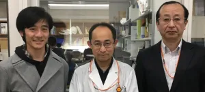 Toho university scientists find new mechanism to keep cell death pathway suppressed