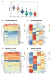 Tomato Time capsule: postharvest treatments and their role in ripening dynamics