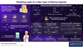 Touched by light: Photoexcited stannyl anions are great for producing organotin compounds