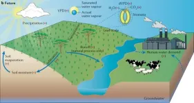 Toward a more comprehensive understanding of aridity changes over global drylands