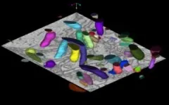 Toward high electro-optic performance in III-V semiconductors 3