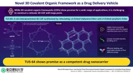 Towards a novel 3D covalent organic framework with record large pores for efficient drug delivery