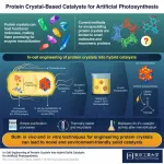 Towards artificial photosynthesis with engineering of protein crystals in bacteria